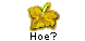 Hoe?