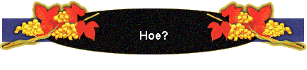 Hoe?