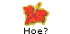 Hoe?