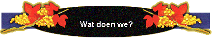 Wat doen we?